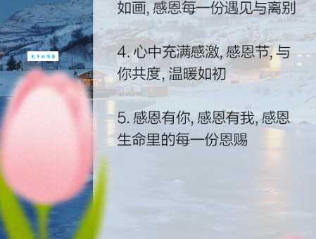 最新感恩节发朋友圈的好听的句子▼2025适合感恩节的说说短句