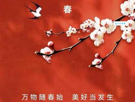 2025立春节气经典祝福语朋友圈文案▼立春朋友圈微信祝福文案