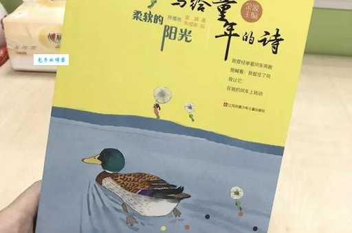 柔软的阳光的主要内容是什么