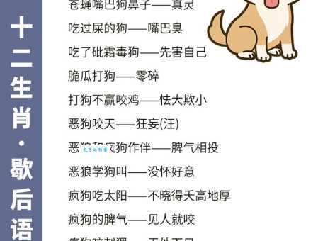 鞭笞天下指是代表什么生肖，词语落实解释释义