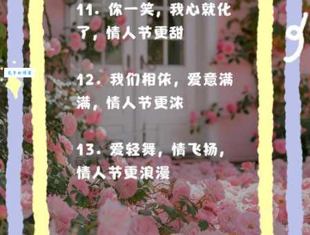 2025情人节个性签名经典大全 我们彼此相爱就是为民除害