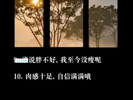 宅在家的最经典的说说 适合肥宅发的朋友圈语录
