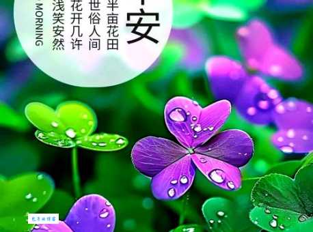 早安唯美的句子短句