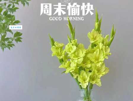 关于周末的快乐的句子