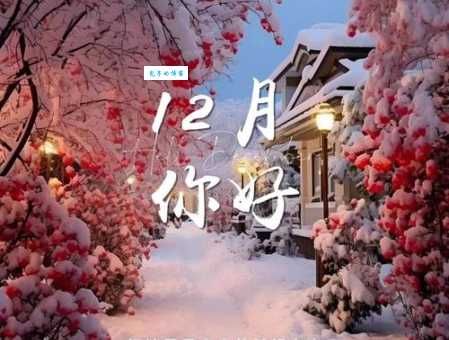 12月份适合发朋友圈的句子