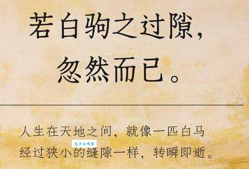 白驹过隙的意思_白驹过隙的近义词｜反义词_白驹过隙造句例句