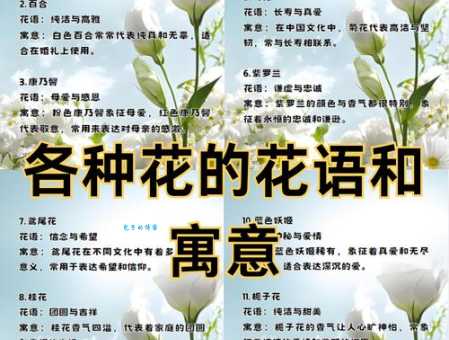 花言巧语的意思