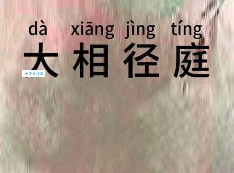 大相径庭的意思