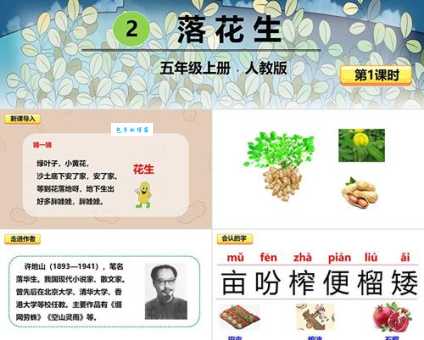 落花生打一成语