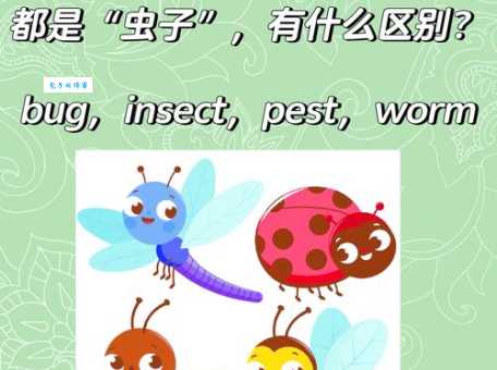 worm是什么意思_worm怎么读_worm的中文意思,翻译