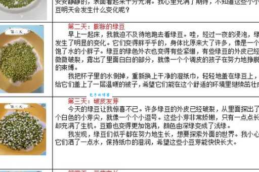 1一7天绿豆在水中的生长过程日记，每天一篇