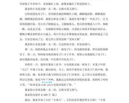 走进仓鼠乐园（小学六年级想象作文600字）