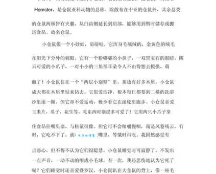 走进仓鼠乐园（小学六年级想象作文600字）