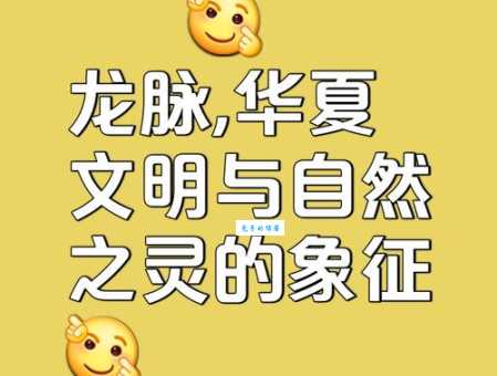 来龙去脉的意思
