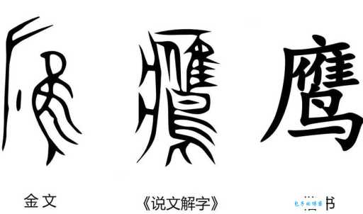 鹰组词_鹰字组词造句解释精选