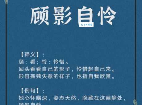 顾影自怜的意思
