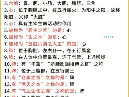 五脏六腑的意思