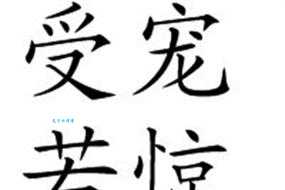 受宠若惊的意思