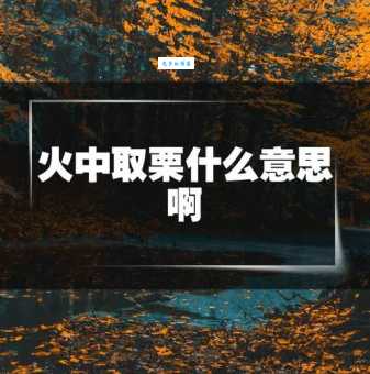 火中取栗的意思
