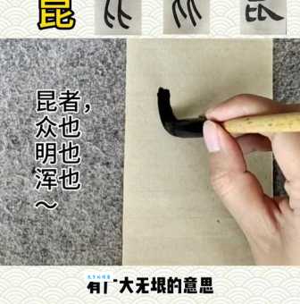 昆字组词造句精选
