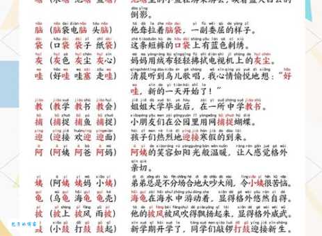 坡字组词造句精选