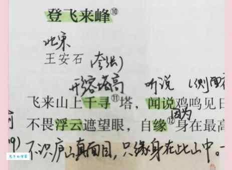 登峰造极的意思