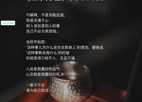 别出心裁的意思