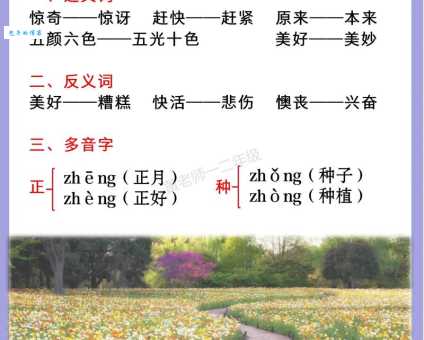 汉语词语“花团锦簇”的同义词、近义词、反义词及区别与用法