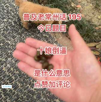 一本正经的意思
