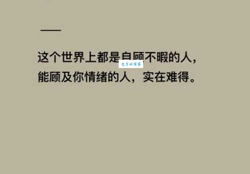 自顾不暇的意思