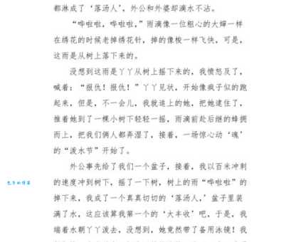 泼水节（小学四年级叙事作文400字）