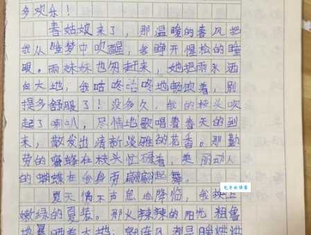 我心中最美的家（小学五年级想象作文500字）