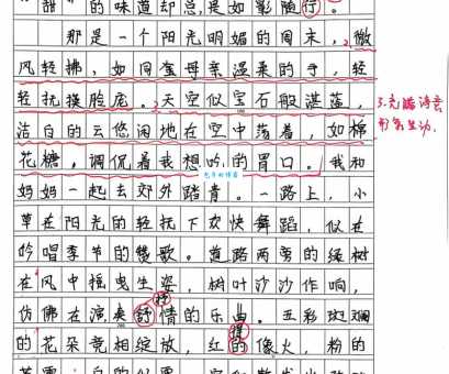 我忙 但很快乐（小学四年级叙事作文400字）