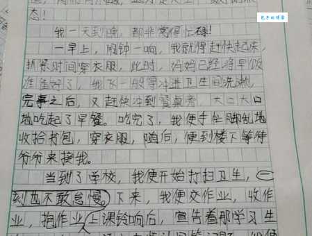 我忙 但很快乐（小学四年级叙事作文400字）
