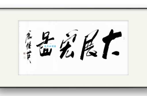 大展宏图的意思