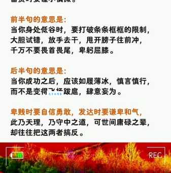 谨小慎微造句