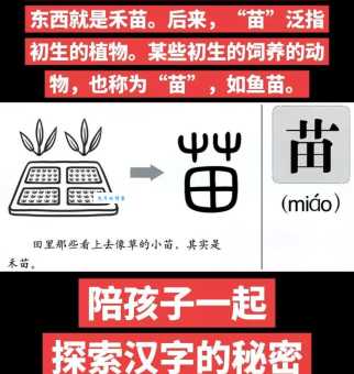 苗字组词造句精选