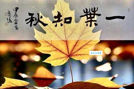 一叶知秋的意思