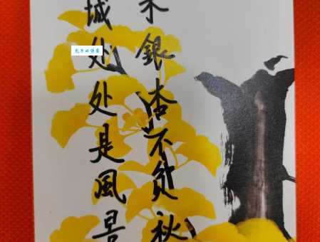 一叶知秋的意思