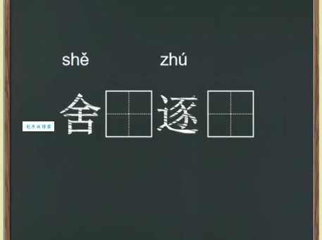 舍本逐末什么意思 成语解析与日常应用实例分享
