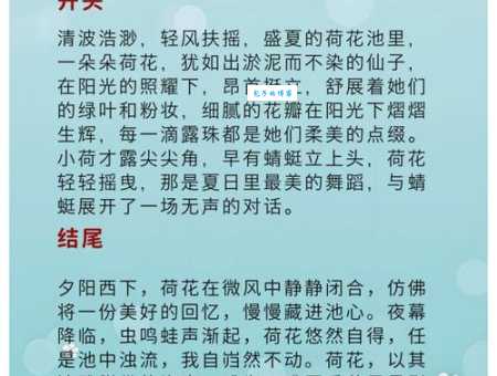 争芳斗艳的意思怎么用 生活中这样形容美景