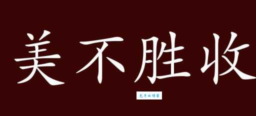 美不胜收的收是什么意思一次搞懂这个成语用法