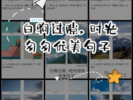 白驹过隙的意思解析如何理解时光飞逝