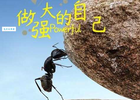 泰然处之的意思详解 教你面对困难保持冷静