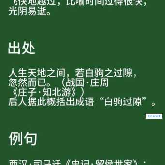 白驹过隙的意思和用法 教你正确使用这个成语