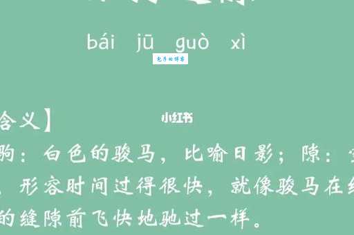 白驹过隙的意思和用法 教你正确使用这个成语