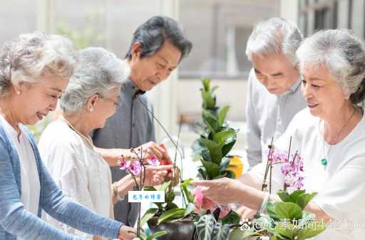 安居乐业是什么意思 现代人如何理解这个传统观念