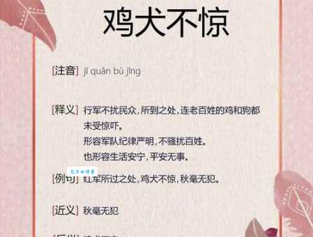 鸡犬不宁的意思及用法这个成语你了解吗