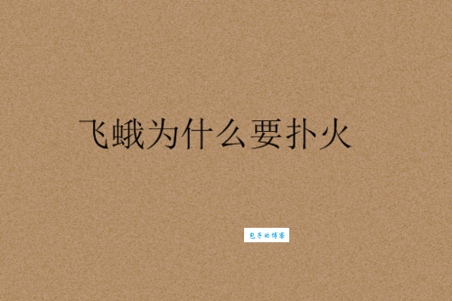 飞蛾扑火的意思是什么原来这么简单易懂