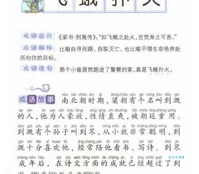 飞蛾扑火的意思是什么原来这么简单易懂